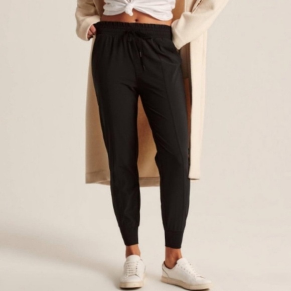 Abercrombie & Fitch Traveler Jogger Pants - Picture 1 of 6